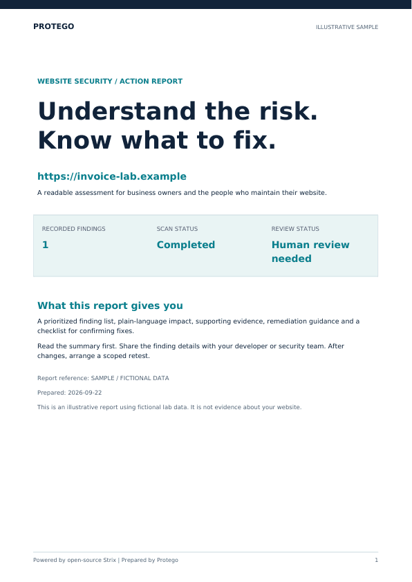 Fictional sample Protego assessment PDF showing a readable executive report cover